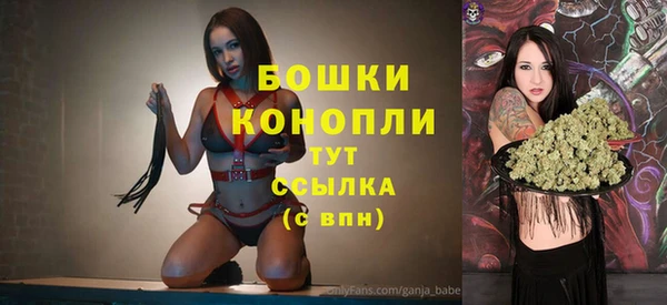 молекула духа Гусев