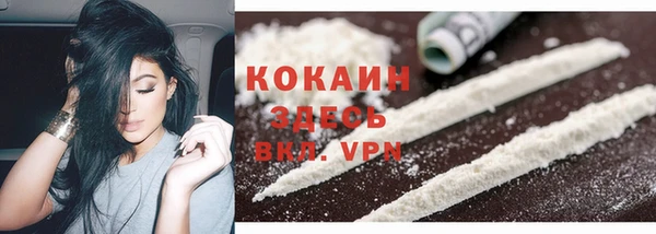 твердый Гусь-Хрустальный