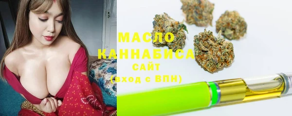 молекула духа Гусев