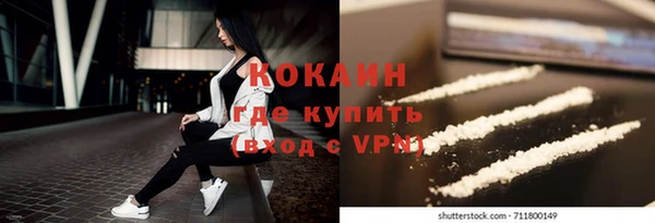 твердый Гусь-Хрустальный