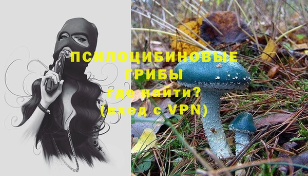 твердый Гусь-Хрустальный