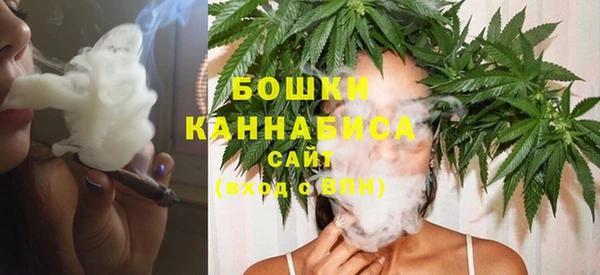 твердый Гусь-Хрустальный