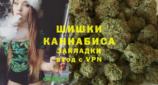 молекула духа Гусев