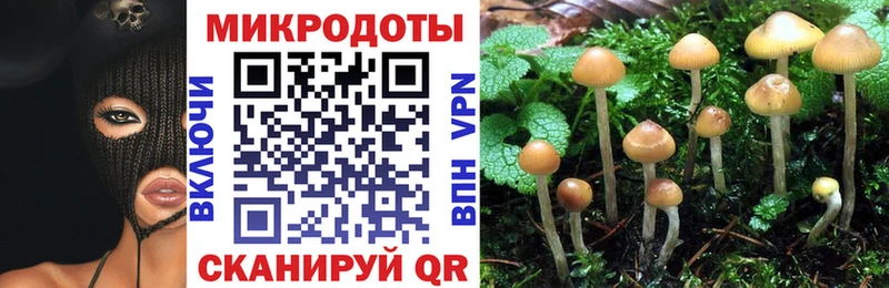 Галлюциногенные грибы мухоморы  Купить  Кудрово 